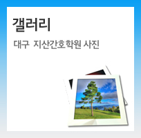 갤러리